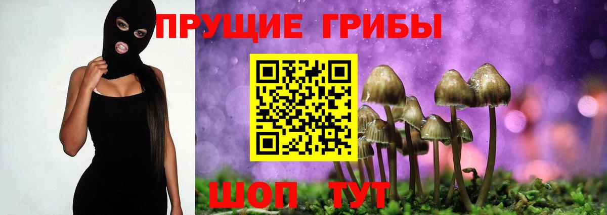 Галлюциногенные грибы прущие грибы Наро-Фоминск